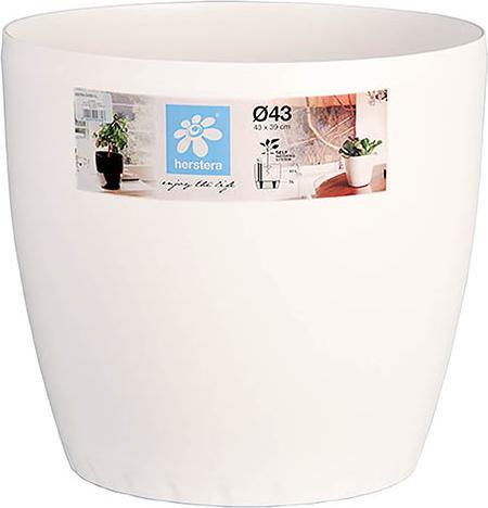 Vaso