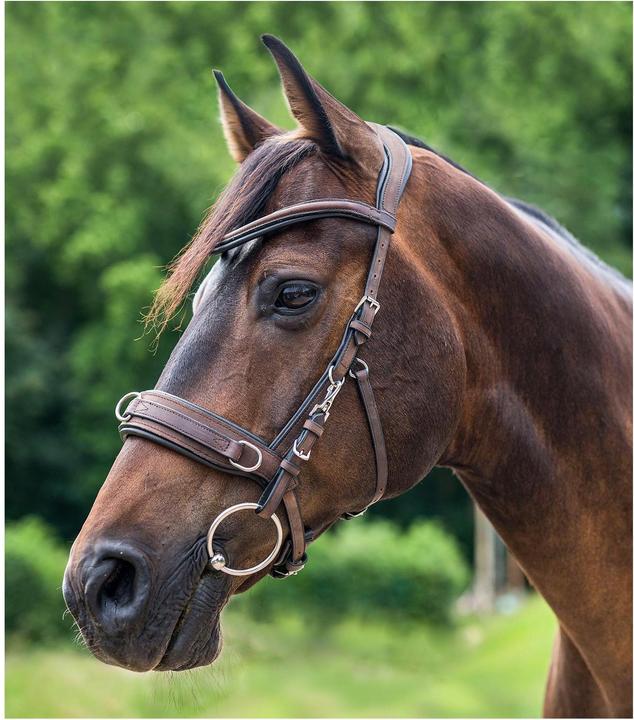 Actual product image Waldhausen Leather bridle Anatomic