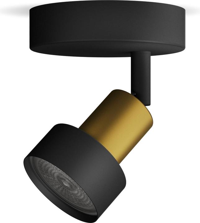 Philips Conduit (GU10)