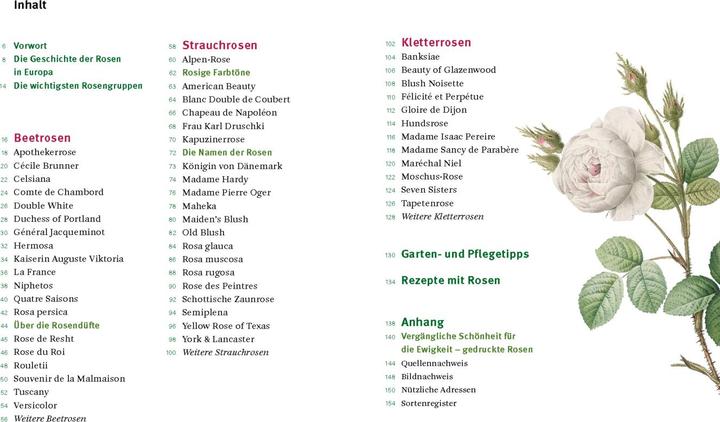 Actual product image Historische Rosen (German, Sofia Blind, Berlin State Library, 2023)
