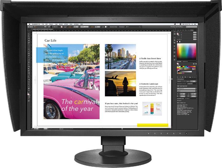 Eizo CG2420 ColorEdge (1920 x 1200 Pixel, 24")