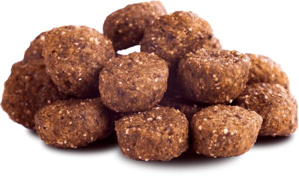 Image du produit The Goodstuff Saumon (Junior, 1 pcs, 2500 g)