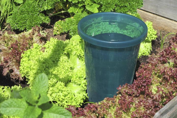Image du produit Bio Green Ensemble de tasses Hydro (Cône d'argile)