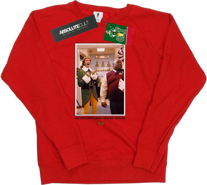 Actual product image Elf Womens/Ladies OMG Santa Photo Sweatshirt (L)