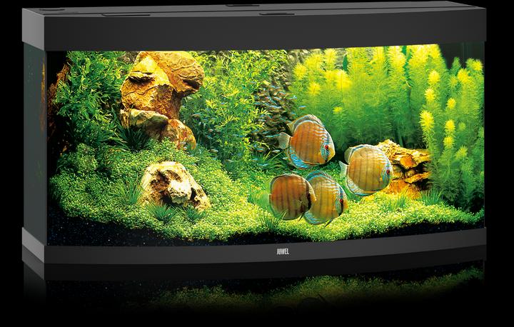 Produktbild Juwel Aquarium Aquarium Vision 260 121x46x62cm schwarz (260 l)