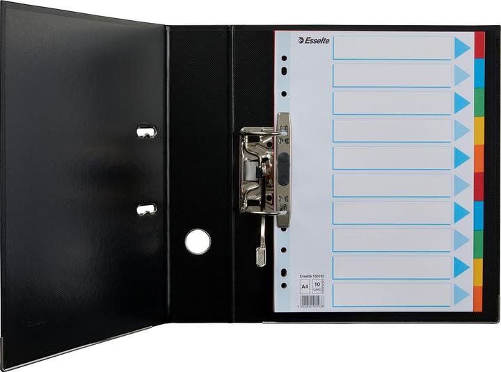 Produktbild Esselte Register Karton farbig