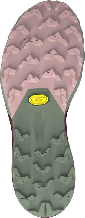 Actual product image Dynafit Alpine Pro 2 running shoe (39)