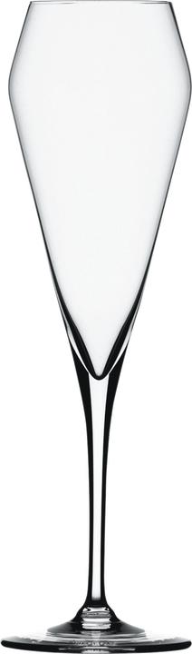 Actual product image Spiegelau Willsb. Anniversary (24 cl, 4 Glasses, Champagne glasses)