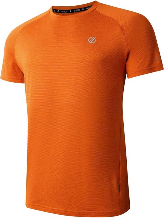 Actual product image Dare2b Mens Persist Marl T-Shirt (XS)