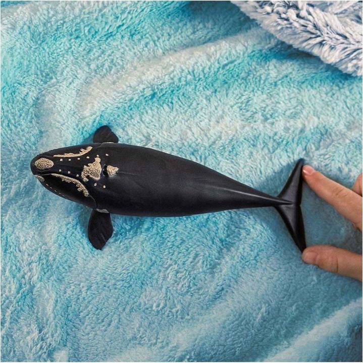 Image du produit Schleich Nordatlantischer Glattwal