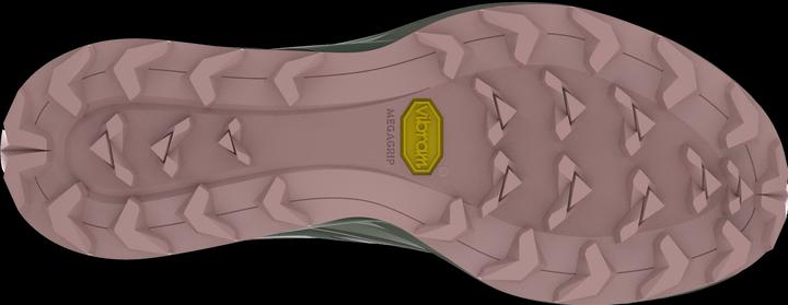 Produktbild Dynafit Alpine Laufschuh (38)