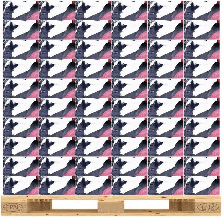 Immagine prodotto Wolino Panno per la pulizia in jersey colorato