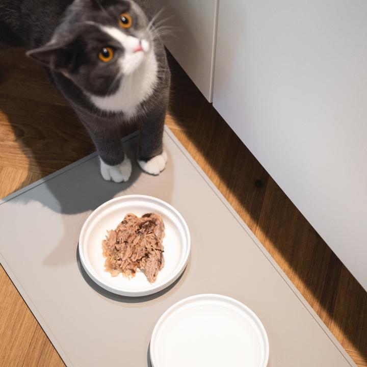 Actual product image LucyBalu BOWL Porzellan Katzennapf