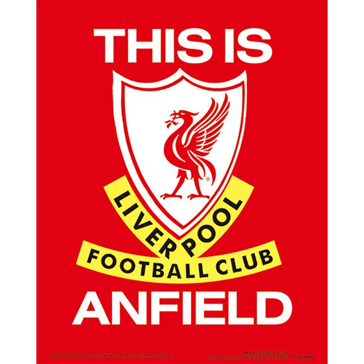 Actual product image Score Draw Printed Anfield Stadium 3D