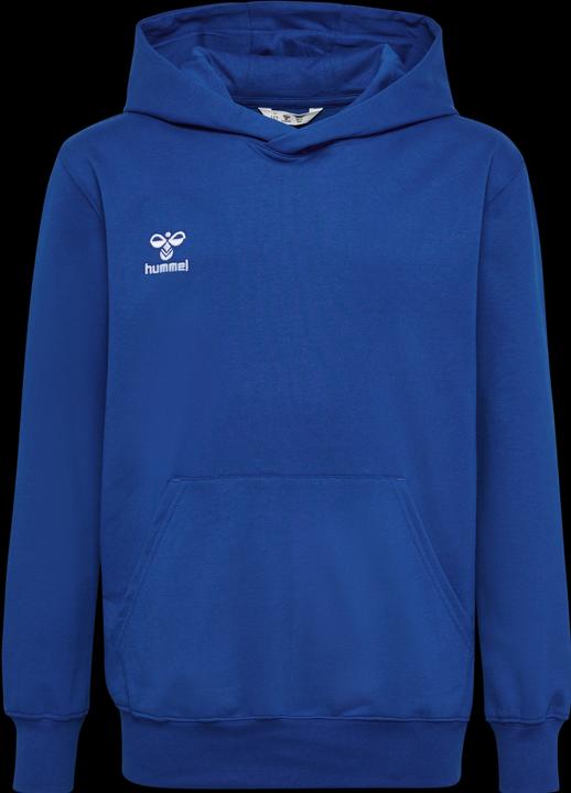 Image du produit hummel HMLGO 2.0 HOODIE KIDS (164)