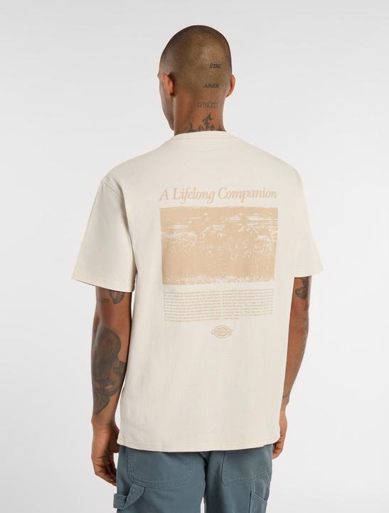 Actual product image Dickies Companion Script SS Tee (S)