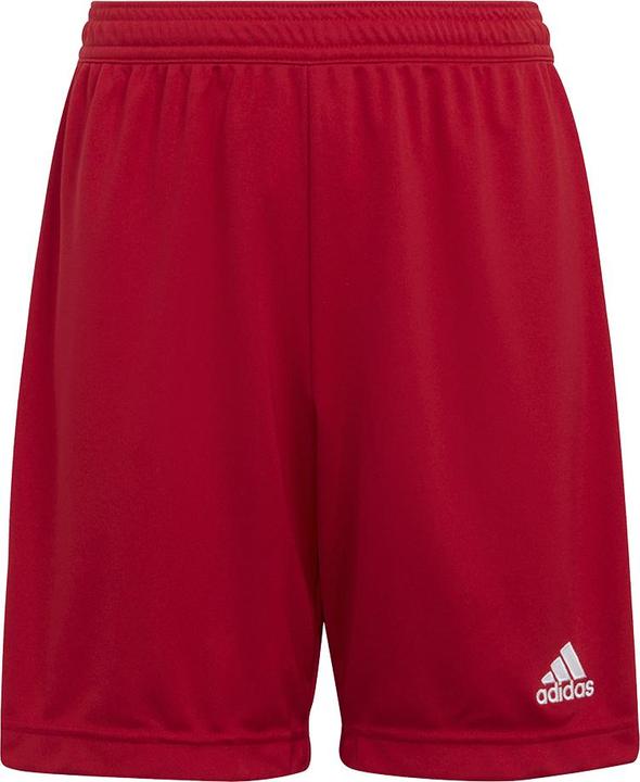 adidas Entrada 22 Shorts