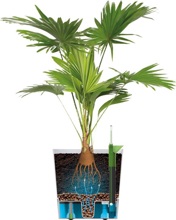 Image du produit Elho Blumenschale (43 cm)