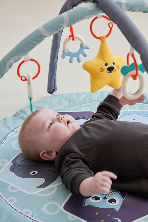 Productafbeelding Scandinavian Baby Products Dierentuin Activity Gym