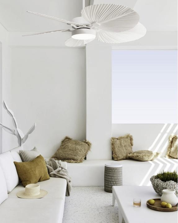 Image du produit Beacon Bali