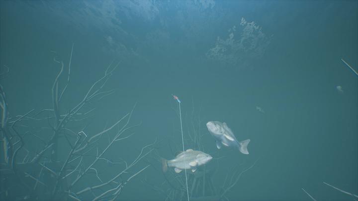 Actual product image Bassmaster Fishing 2022 (PC, DE)