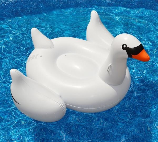 Produktbild Infactory Schwan