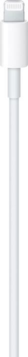 Actual product image - MX0K2ZM|A Lightning|Type-C data cable white (ground) (1 m, USB 3.2 Gen 1, 96 W)
