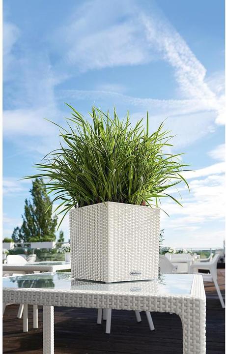 Produktbild Lechuza Cube Cottage 30 (29 cm)