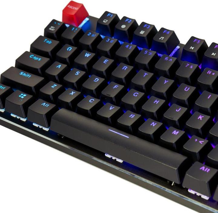 Actual product image Glorious PC Gaming Race GMMK-BRN-V2 full size, ANSI US standards, Gateron Brown Switch (US, Cable)
