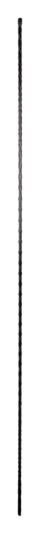 Produktbild Windhager Rankhilfe (90 cm, 0.80 cm)