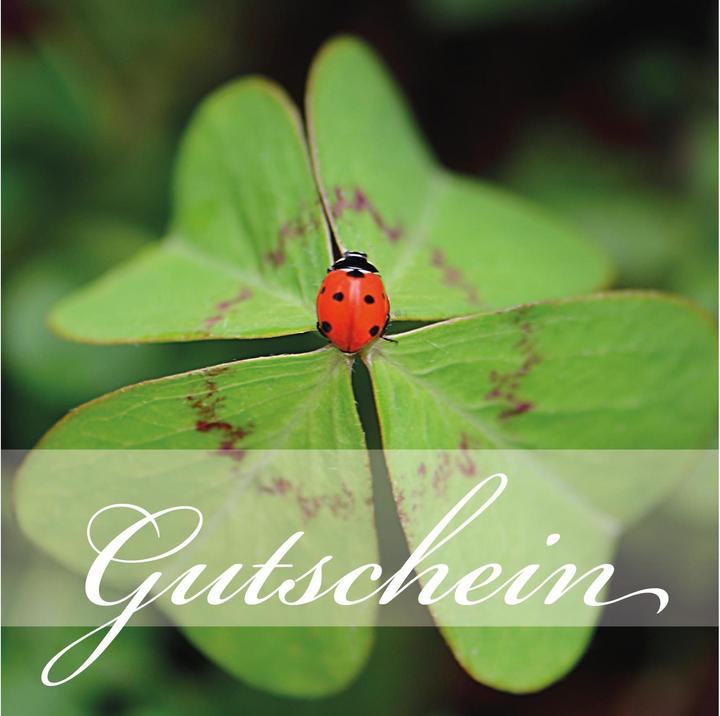 Image du produit Carte-cadeau Coccinelle 14.5 x 14.5 cm, 6 pièces (6 pcs)