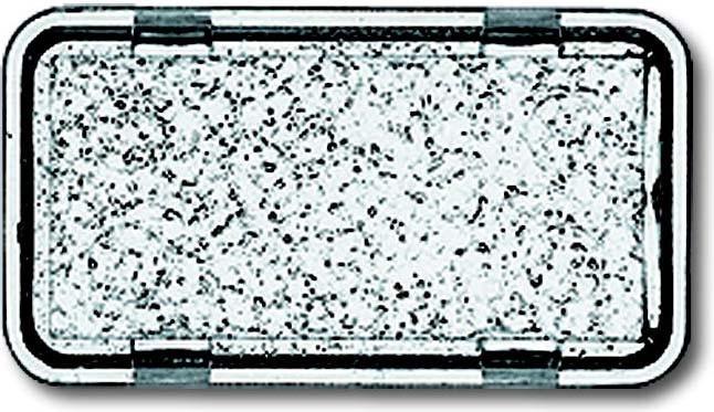 Produktbild Busch-Jaeger Tastersymbol (10 x)
