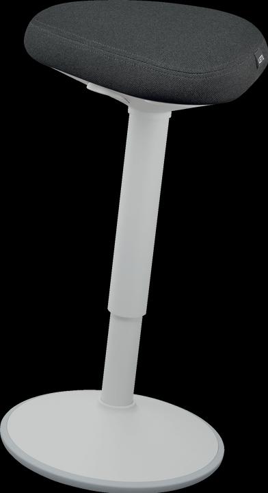 Actual product image Leitz Ergo Active
