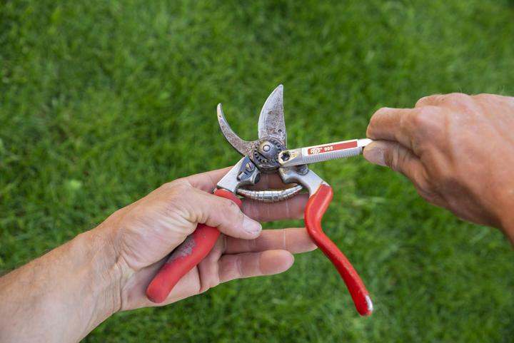 Immagine prodotto Felco 905