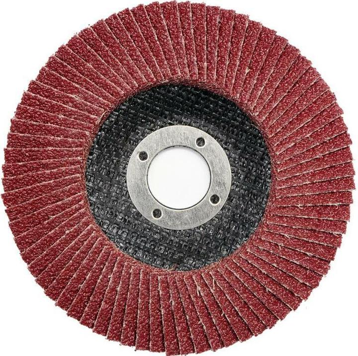 Immagine prodotto Toya Disco di smerigliatura a fiamma 125 mm P60 (P60)