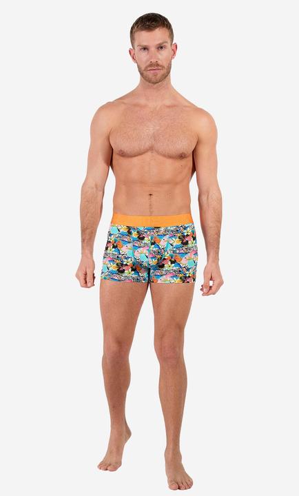 Immagine prodotto HOM Retro Boxer Funky Style HO1 (L, Confezione singola)
