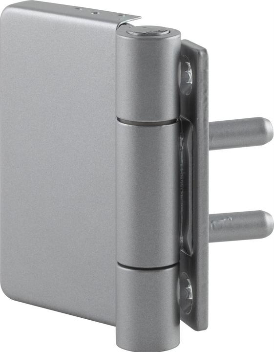 Actual product image Simonswerk SIMONS door hinge Multi 2D/VN 5046, roller ø 20 mm, hinge height 100 mm, silver-coloured