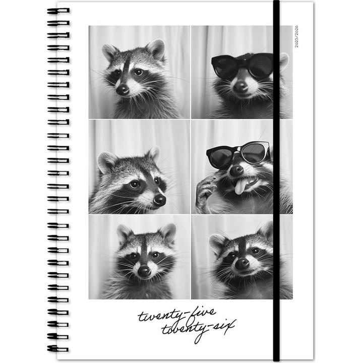 Produktbild Simplex Schüleragenda Emotions 25/26 500216.26 1W/2S 17M Racoon ML 14.8x21cm (14.8 x 21 cm, Rätoromanisch, Deutsch, Französisch, Italienisch)