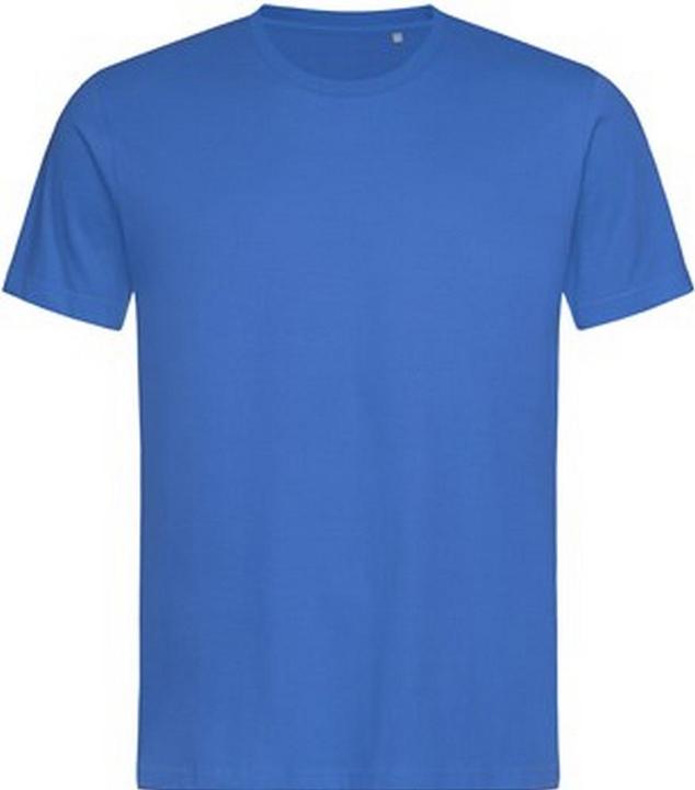 Vivace blu reale