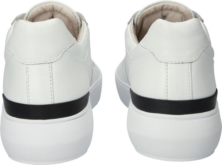 Immagine prodotto Blackstone scarpe da basket radley (41)