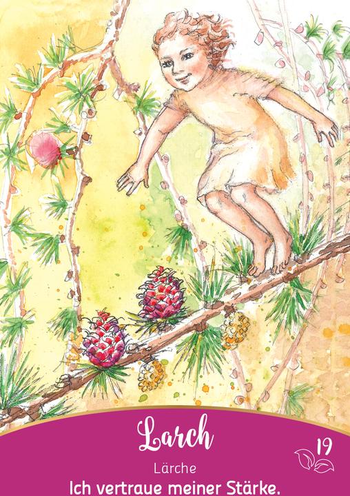 Actual product image Bachblüten-Botschaften - Wie die Seelenpflanzen dir helfen (German, Irene Drexler, 2024)