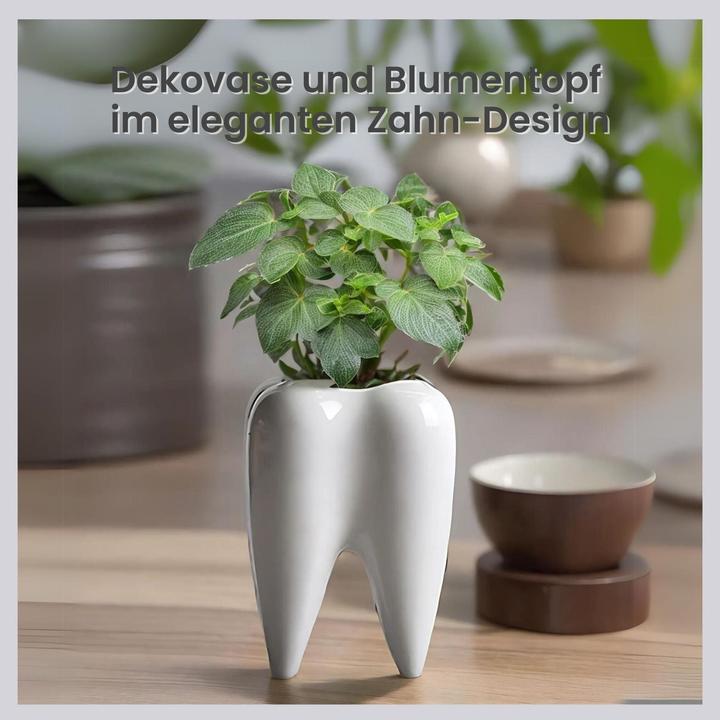Actual product image Hermex Pflanzenvase Blumentopf Dekovase Stifthalter Keramikvase (1 x, 7 x 7 x 10 cm)