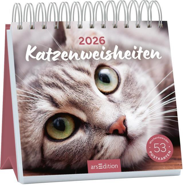 Actual product image Postkartenkalender Katzenweisheiten 2026 (17 x 17 cm, German)