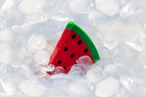 Actual product image Beeztees Fill n Freeze Fruit