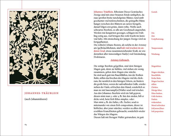 Produktbild Das Kräuterbuch des Johann Christoph Ende (Deutsch, Renate Schipke, 2021)
