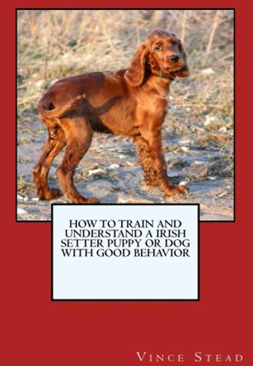 Immagine prodotto Come addestrare e crescere un cucciolo o un cane Setter irlandese con un buon comportamento (Inglese, Vince Stead, 2015)