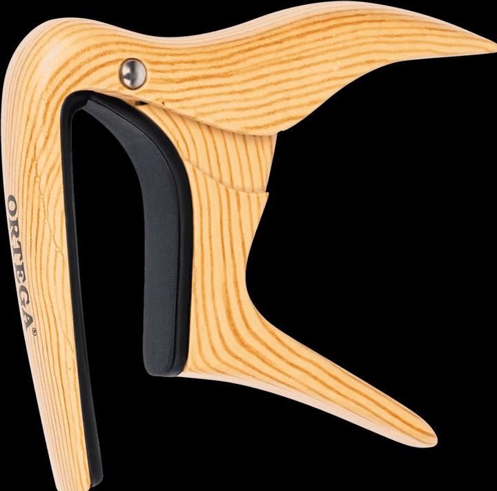 Ahorn Design