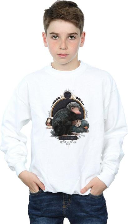 Immagine prodotto Fantastic Beasts Baby Nifflers Felpa Ragazzi (128)