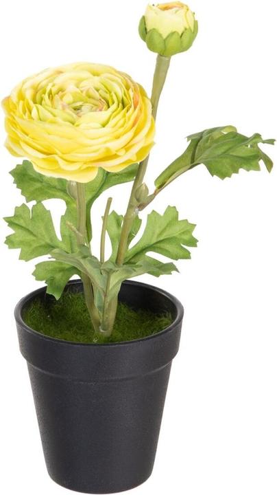 Produktbild Natec Dekorationspflanze Polyester Polyäthylen Eisen Blume 9,5 x 9,5 x 29 cm (29 cm)