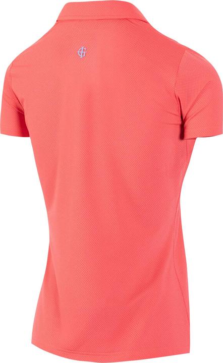 Actual product image Island Green Womens/Ladies Honeycomb Jacquard Polo Shirt (S)